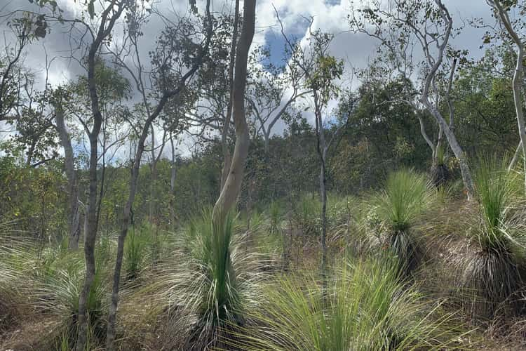 LOT 36 Whitsunday Dr, Bloomsbury QLD 4799