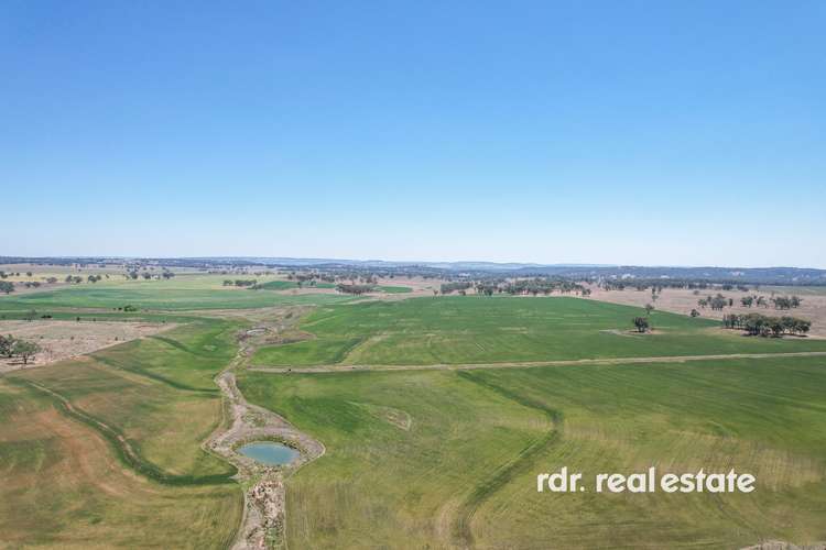 Main view of Homely cropping listing, Gwydir Highway, Inverell NSW 2360