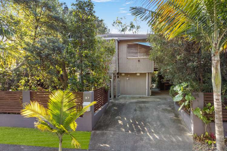 Main view of Homely house listing, 37 Parthenia St, Boondall QLD 4034