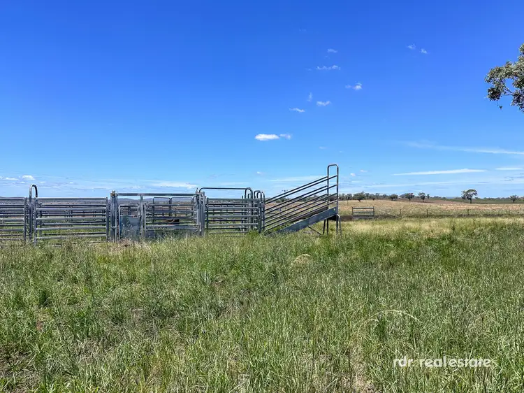 Fourth view of Homely rural property listing, 1155 Fairford Rd, Warialda, Inverell NSW 2360