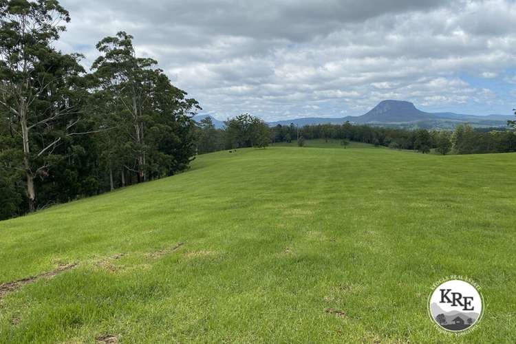 Main view of Homely livestock listing, 14072 Mount Lindesay Hwy, Woodenbong NSW 2476