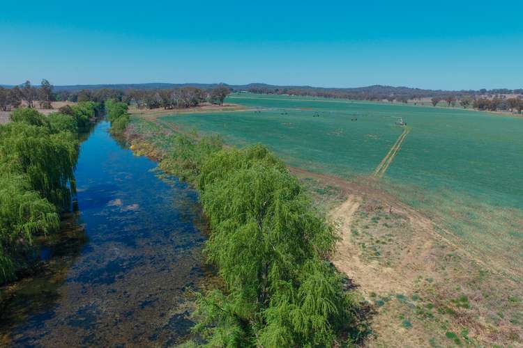 Main view of Homely mixedFarming listing, 213 McLachlans Lane, Brodies Plains, Inverell NSW 2360