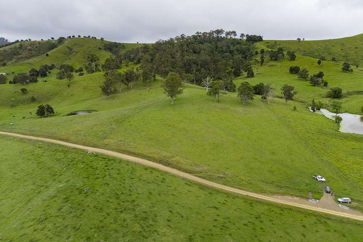 Main view of Homely residentialLand listing, 220 Bulby Brush Road, Bunyah NSW 2429