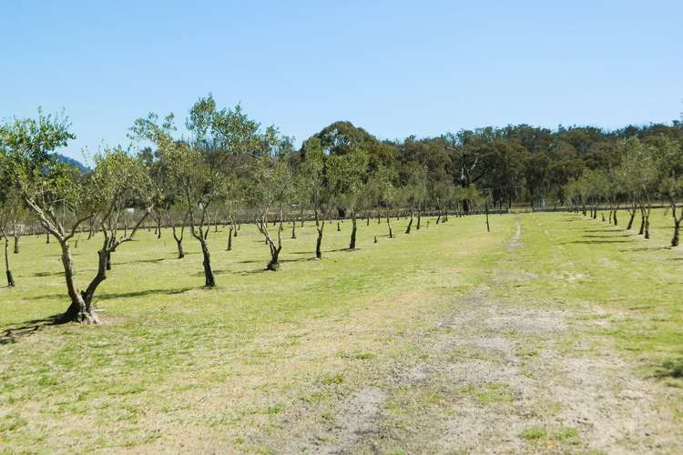 Main view of Homely lifestyle listing, 485 Reedy Creek Rd, Rylstone NSW 2849