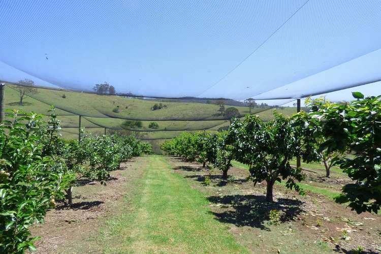 Second view of Homely acreageSemiRural listing, 354 Bald Hills Road, Bald Hills Via, Pambula NSW 2549