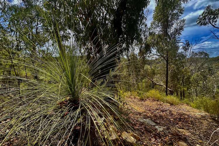 Second view of Homely lifestyle listing, Lot 157 Knights Road, Laguna NSW 2325