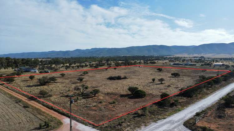Lot 183 Olive Grove Road, Napperby SA 5540
