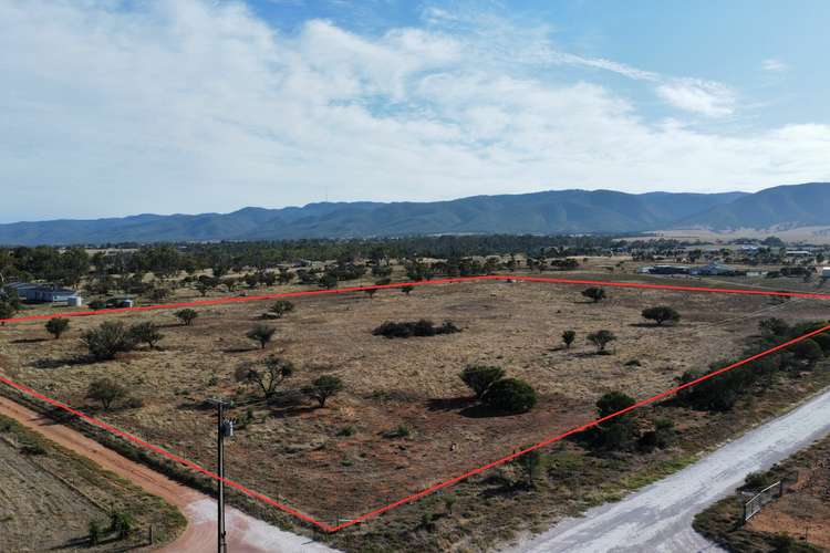 Main view of Homely residentialLand listing, Lot 183 Olive Grove Road, Napperby SA 5540