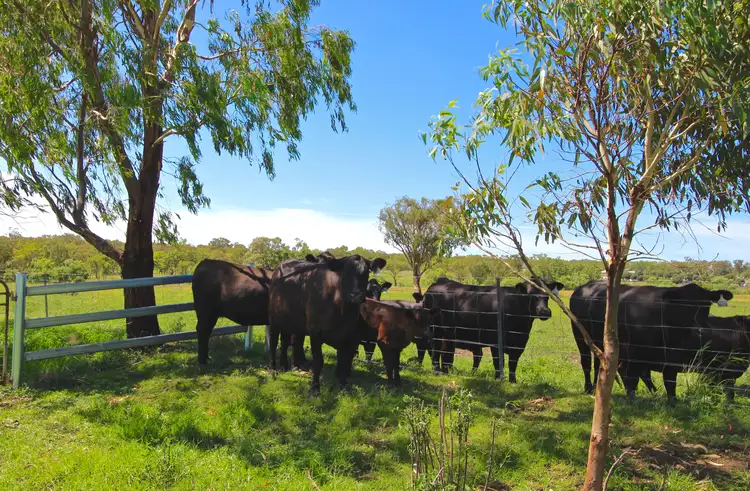 Third view of Homely house listing, 142 Toms Dr, Inverell NSW 2360