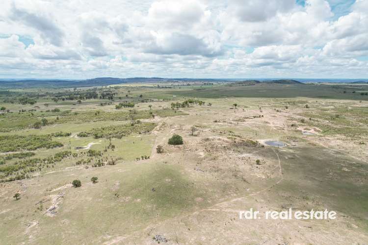 Main view of Homely livestock listing, Lot 12/501 South Valley Road, Ashford NSW 2361
