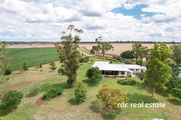 Main view of Homely mixedFarming listing, 137 Gragin Road, Delungra NSW 2403