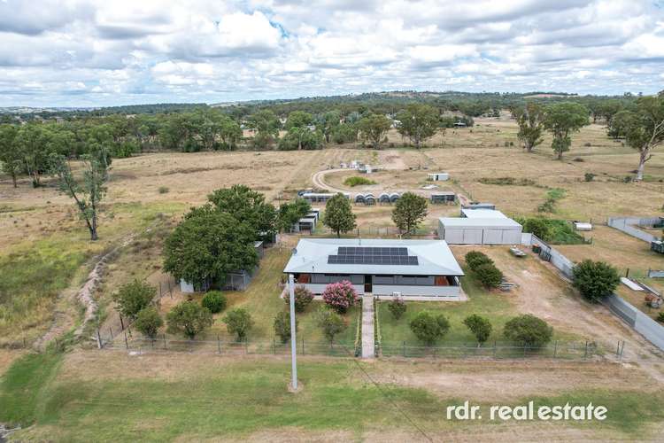 Main view of Homely house listing, 41 Frazer Street, Ashford NSW 2361