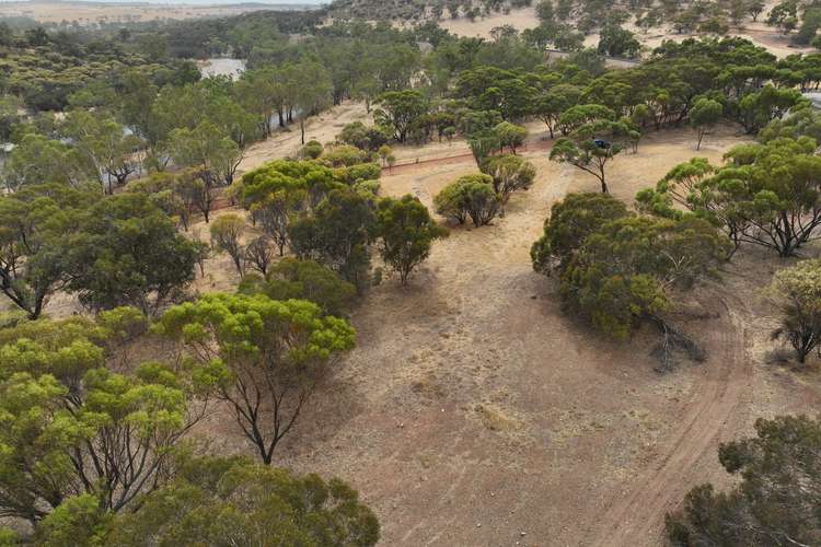 Lot 99 Donkey Crossing, Dumbarton WA 6566