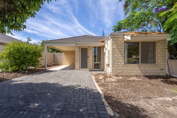 Main view of Homely house listing, 14D Marquis Street, Bentley WA 6102