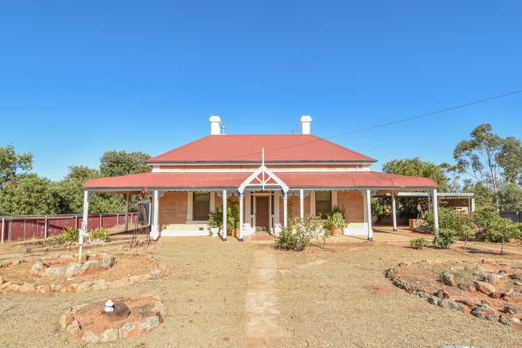 Main view of Homely acreageSemiRural listing, 20 The Cattle Trk, Crystal Brook SA 5523