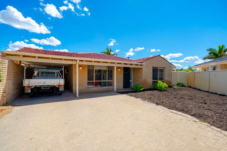 Main view of Homely house listing, 8A Pitt Ct, Morley WA 6062