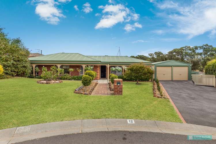Main view of Homely house listing, 12 Kilby Ct, Kangaroo Flat VIC 3555