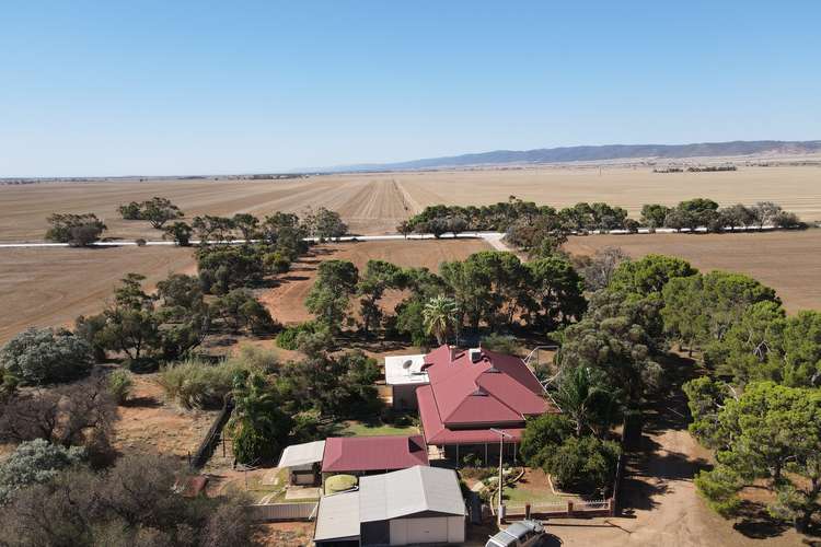 Main view of Homely acreageSemiRural listing, 377 Milcowie Rd, Nurom SA 5523