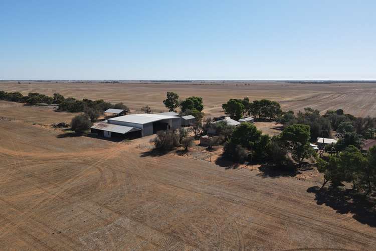Fourth view of Homely acreageSemiRural listing, 377 Milcowie Rd, Nurom SA 5523