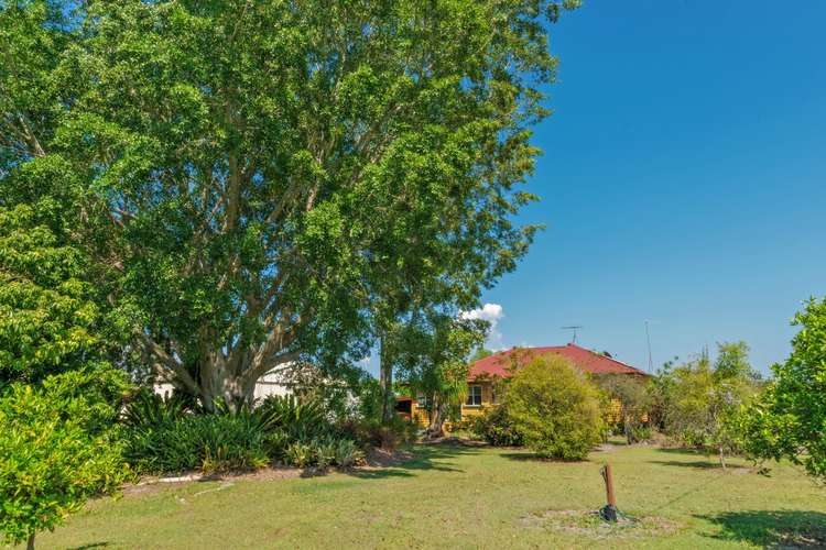 Sixth view of Homely acreageSemiRural listing, 135-147 Burke Rd, Donnybrook QLD 4510