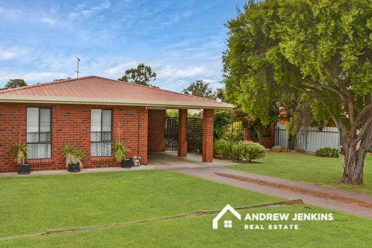 Main view of Homely house listing, 11 Bellis Ct, Barooga NSW 3644
