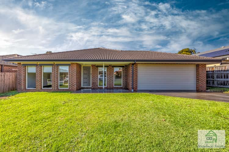 Main view of Homely house listing, 41 Vincent Bvd, Trafalgar VIC 3824