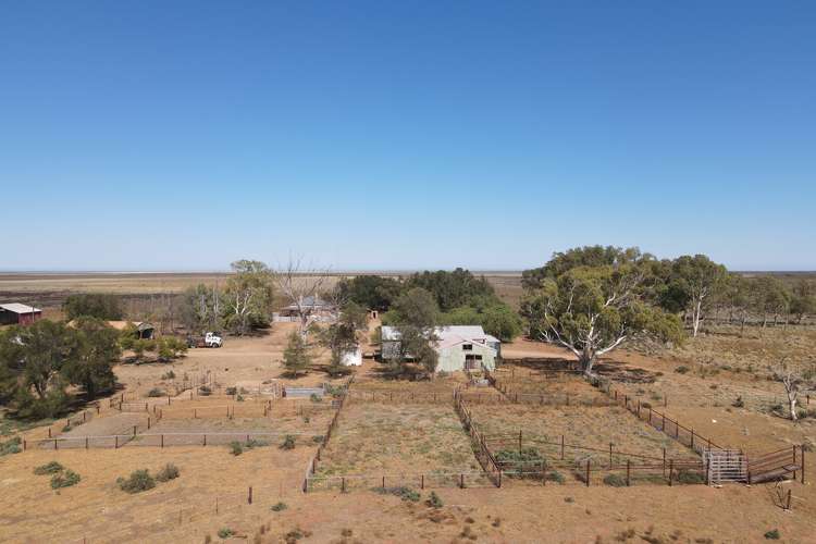 Main view of Homely livestock listing, 2521 Davis Rd, Port Davis SA 5540