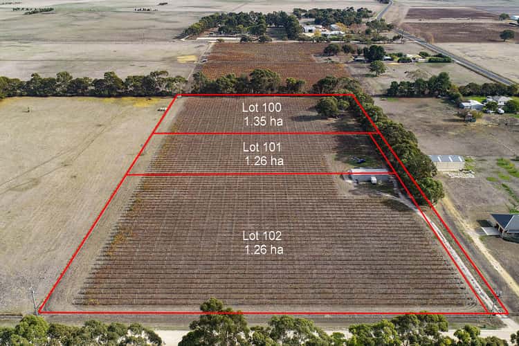 Main view of Homely residentialLand listing, Lot 102 Chinamans Lane, Penola SA 5277