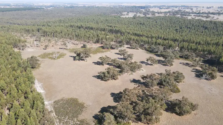 Main view of Homely rural property listing, Section 386 Black Range Road, Lucindale SA 5272