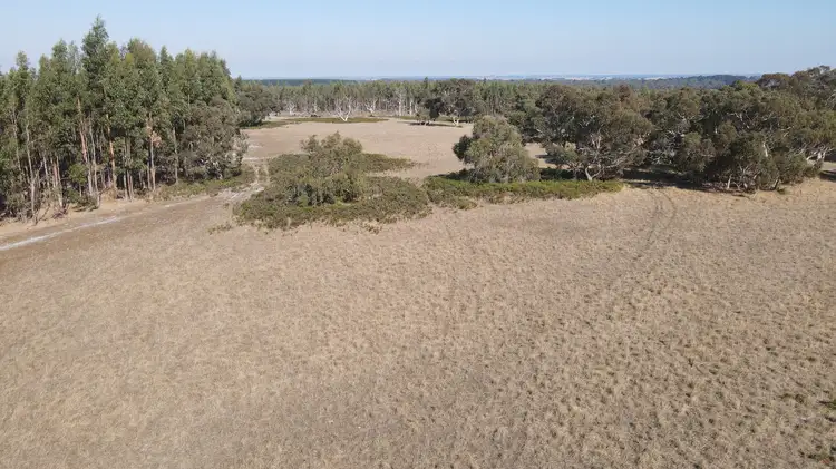 Second view of Homely rural property listing, Section 386 Black Range Road, Lucindale SA 5272