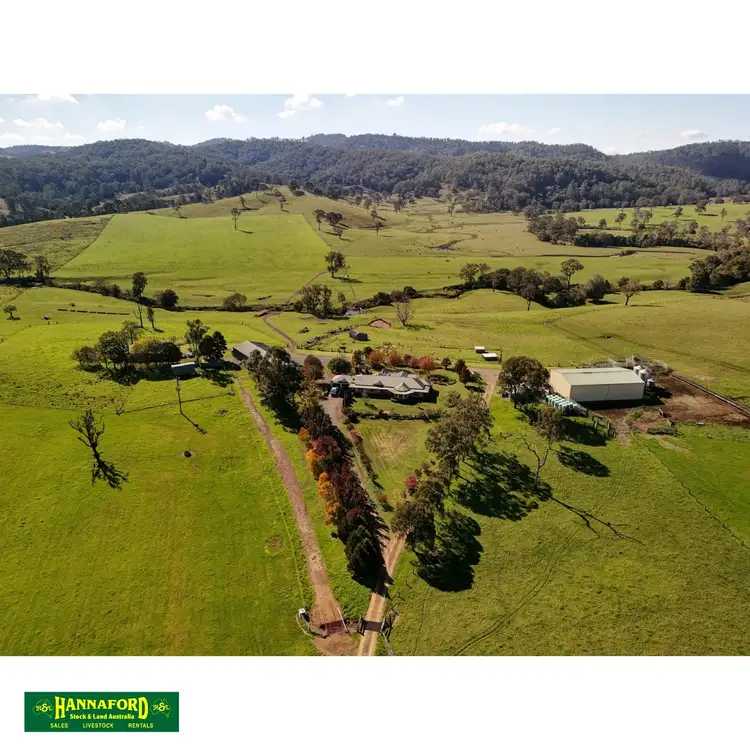 Main view of Homely rural property listing, 1551 Waukivory Rd, Waukivory NSW 2422