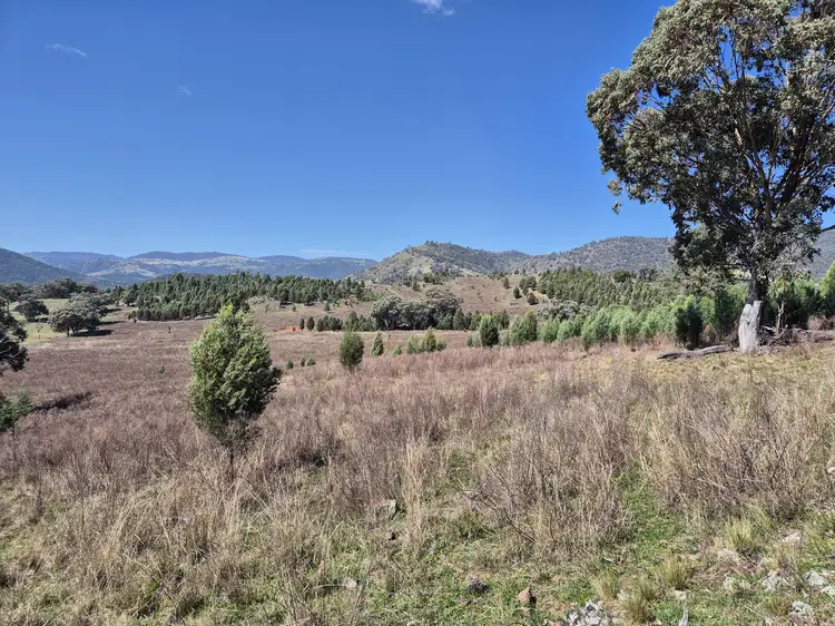 Main view of Homely rural property listing, 46 Worlds End Rd, Yarrabin NSW 2850