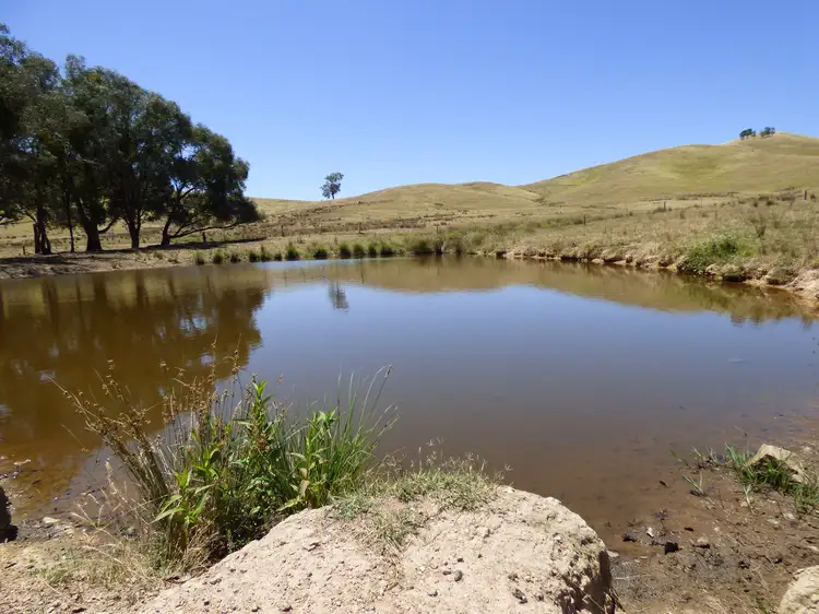Fifth view of Homely rural property listing, 409 McInnes Lane, Bobinawarrah VIC 3678