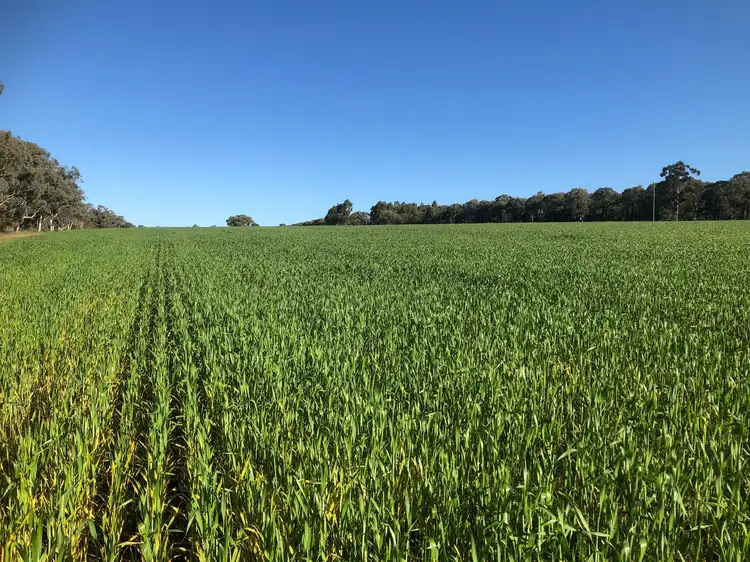 Second view of Homely rural property listing, Lot 22 Clackline-Toodyay Road, Hoddys Well WA 6566