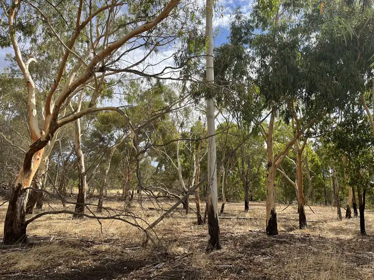 Seventh view of Homely rural property listing, Lot 22 Clackline-Toodyay Road, Hoddys Well WA 6566