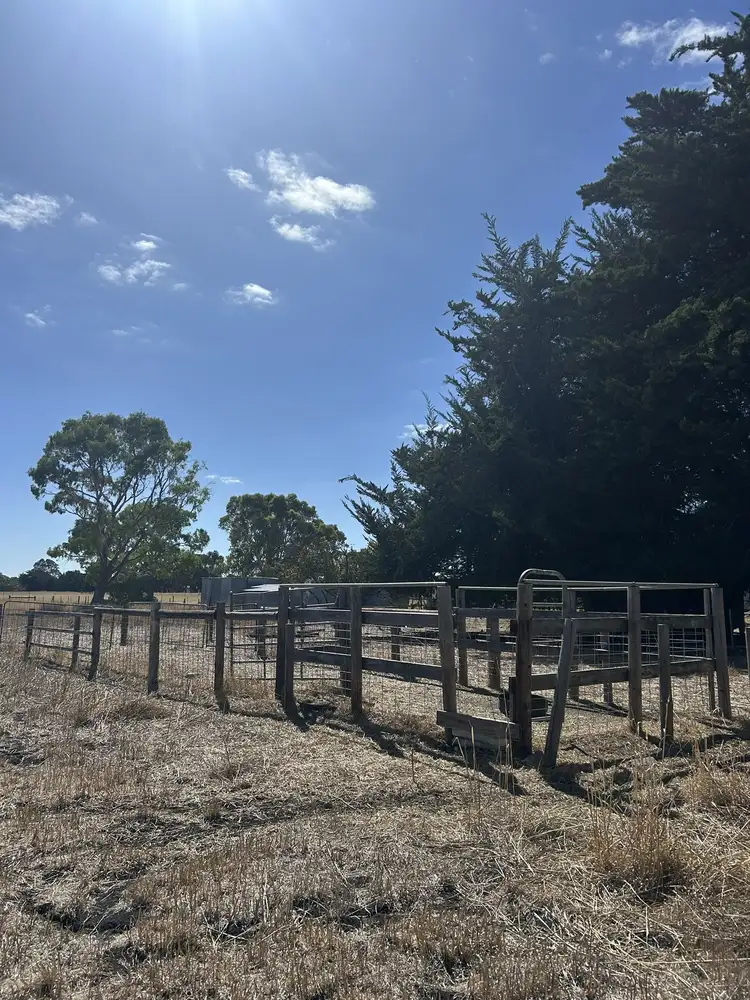 Third view of Homely land listing, Allotment 11 Mt Burr Rd, Penola SA 5277