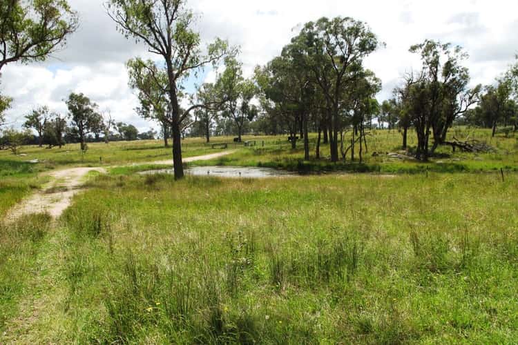 Fifth view of Homely residentialLand listing, Lot 59 Cattarin Lane, Liston NSW 2372