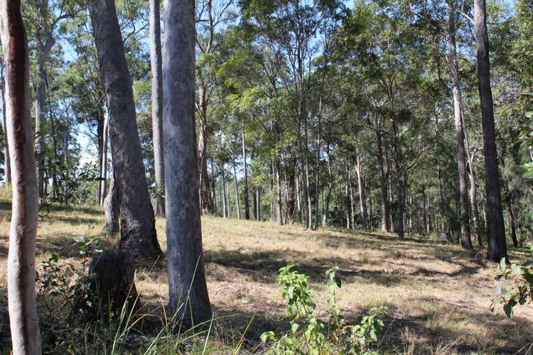 Third view of Homely residentialLand listing, Lot 3 Stottenville Road, Bauple QLD 4650