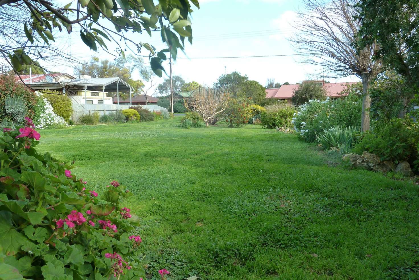 Main view of Homely residentialLand listing, 7 Queen Street, Penola SA 5277