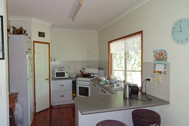Third view of Homely lifestyle listing, 19 Matilda St, Aratula QLD 4309