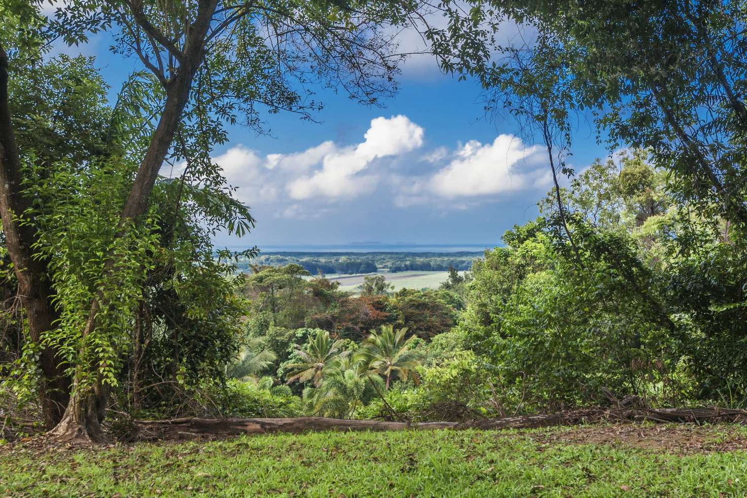 Main view of Homely house listing, 14 Ocean View Road, Killaloe QLD 4877