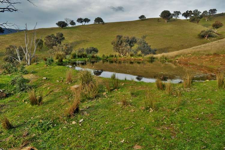 Main view of Homely ruralOther listing, The Block - Packers Road, Bethanga VIC 3691