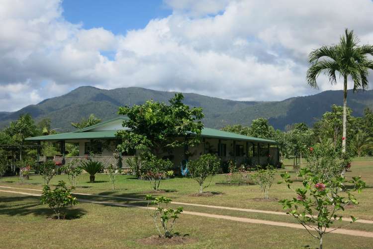 Main view of Homely acreageSemiRural listing, 965 Kennedy Creek Road, Carruchan QLD 4816