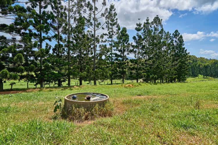 Fifth view of Homely residentialLand listing, Lot 11 55 Adams Road, Yungaburra QLD 4884