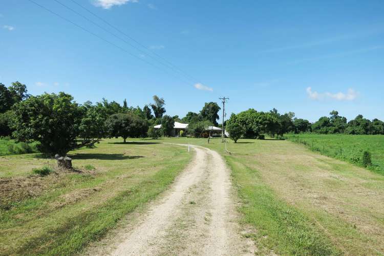 Third view of Homely acreageSemiRural listing, 610 Ellerbeck Road, Carruchan QLD 4816