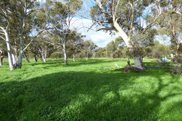 Main view of Homely residentialLand listing, Lot 153 Bejoording Rd, Bejoording WA 6566