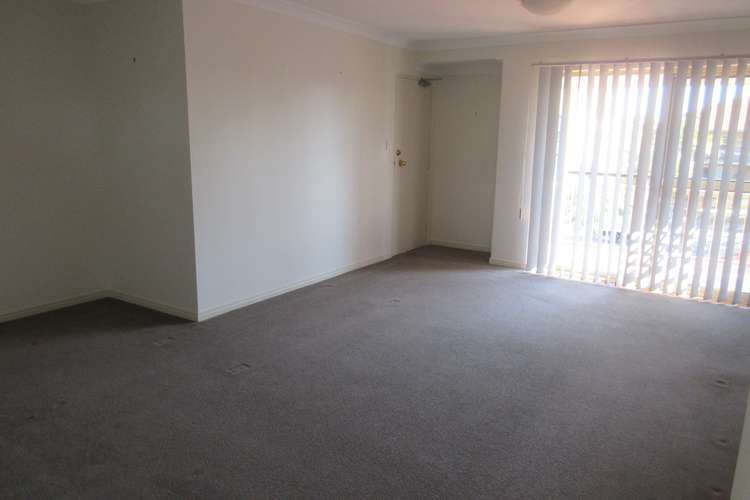 Fourth view of Homely unit listing, 5/15 Joffre Street, Coorparoo QLD 4151
