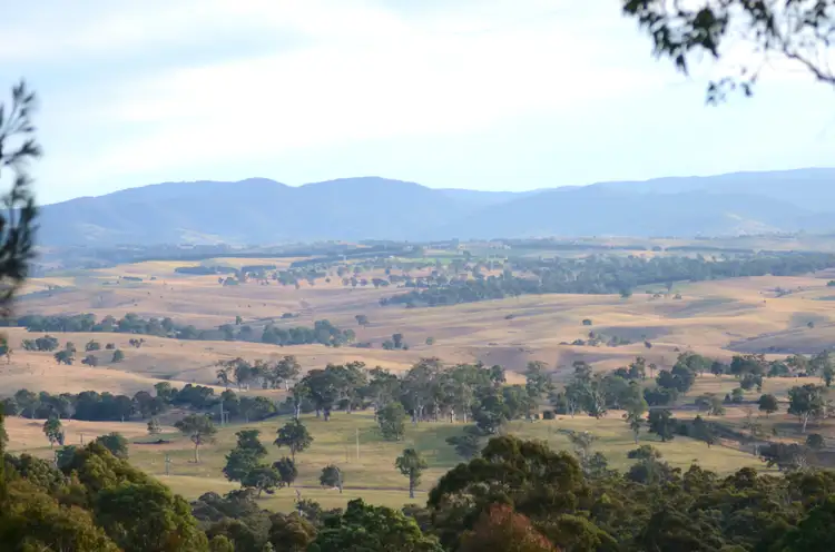Second view of Homely rural property listing, 259 Black Range Rd, Black Range NSW 2550