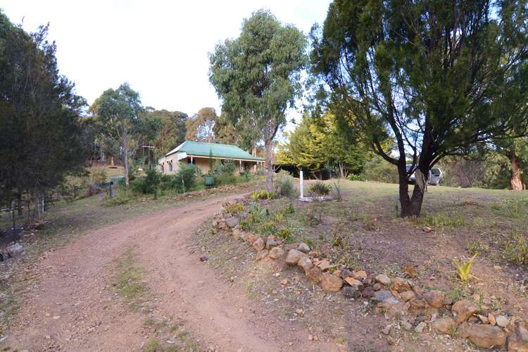 Third view of Homely lifestyle listing, 259 Black Range Rd, Black Range NSW 2550