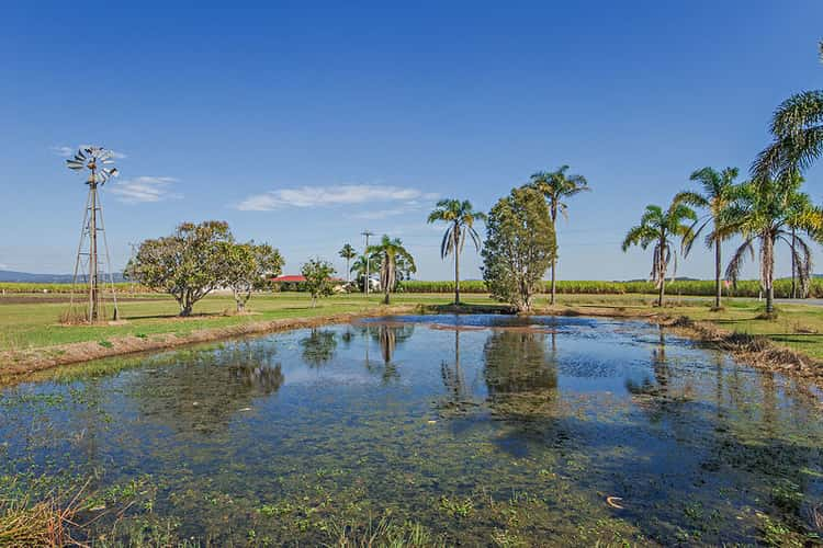 Seventh view of Homely acreageSemiRural listing, LOT 1, 115 Fischers Road, Norwell QLD 4208